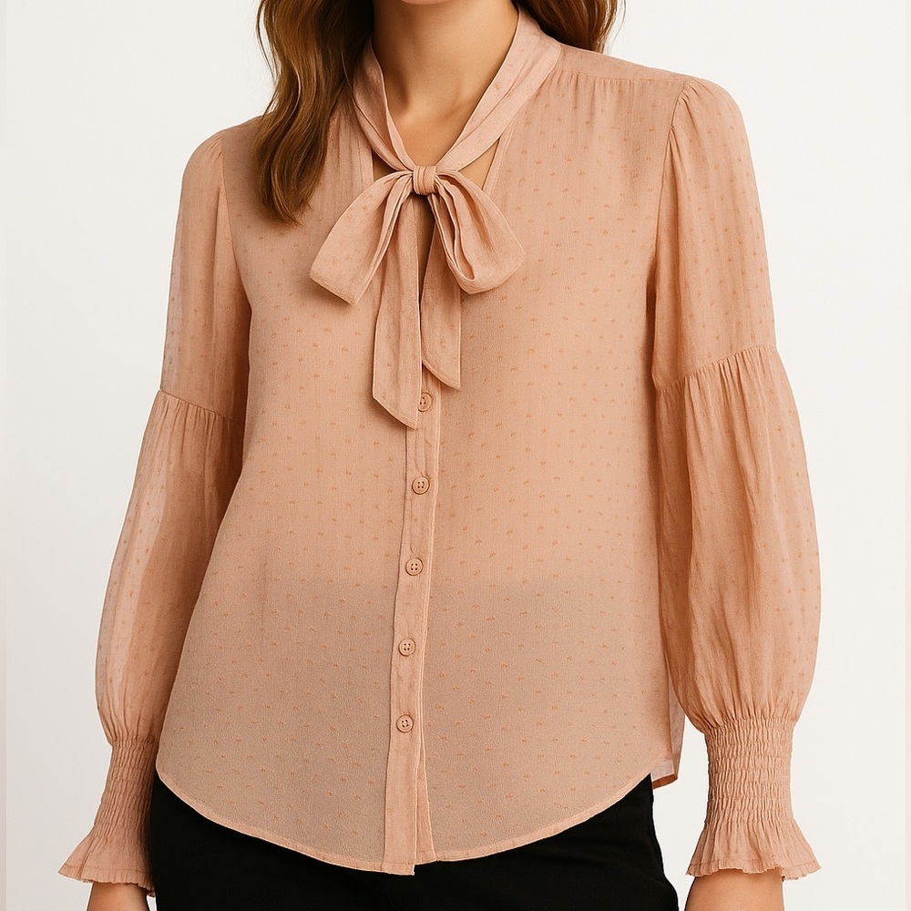 Zara Sheer Blush Pink Polka Dot Blouse with Neck Tie, Size S